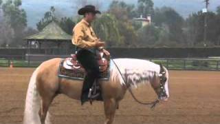 Reining 101  Andrea Fappani [upl. by Ardnak]