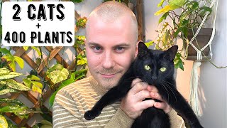 How Do I Have Two Cats AND 400 Houseplants  Cats amp Plants 101 [upl. by Eatnhoj]