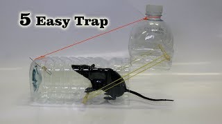 5 Easy MouseRat Trap [upl. by Marinna]