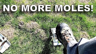 Howto Eliminate Moles Wire Tek EasySet Mole Eliminator [upl. by Tiemroth569]