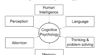 Cognitive Psychology Introduction [upl. by Lalat]