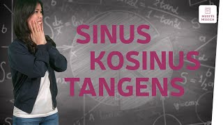 Die Winkelfunktionen Sinus Kosinus und Tangens I musstewissen Mathe [upl. by Allred88]