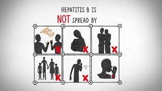 Understanding Hepatitis B Serology Results [upl. by Anisamoht]