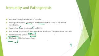 Aspergillus [upl. by Patric]