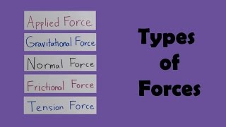 Types of Forces [upl. by Elleuqar569]