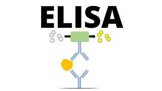 ELISA Enzymelinked Immunosorbent Assay [upl. by Hannahs]