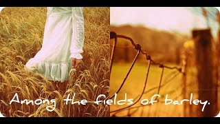 Sting amp The Police  Fields of gold lyrics HQ [upl. by Elleirua199]