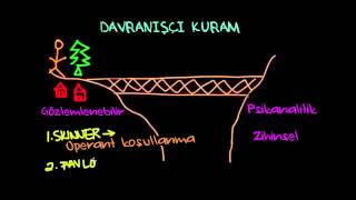 Davranışçı Kuram Psikoloji  Davranış [upl. by Alleda177]