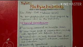 Phylum platyhelminthes characters and classification explain [upl. by Yunfei]