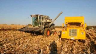 Combining Corn with AllisChalmers Gleaner F2 Combine [upl. by Memberg]