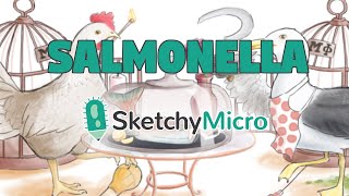 Salmonellas Salmon Diner  SketchyMicro  Sketchy Medical USMLE Step 1 [upl. by Arocat423]