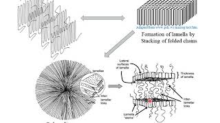 Polymer Crystallization [upl. by Sosthenna]