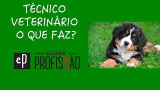 TÉCNICO VETERINÁRIO O QUE FAZ [upl. by Orian496]