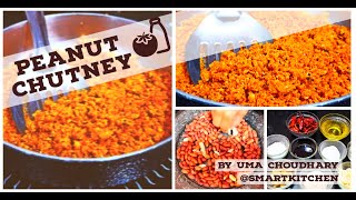 मूंगफली की चटनी रेसिपी  Peanut Chutney Recipe in Hindi [upl. by Premer]