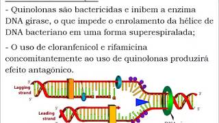 Farmacologia Veterinária  Antibióticos [upl. by Timoteo]