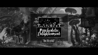 Mr Traumatik  Psychedelic enlightenment [upl. by Abbottson248]