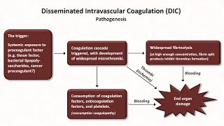 Thrombocytopenia Hemostasis  Lesson 8 [upl. by Osnofla]