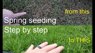 How to GROW GRASS in the SPRING successfully step by step [upl. by Folger]