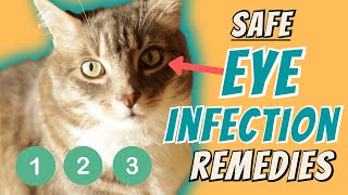 Eye Infection Home Remedies [upl. by Karrah]