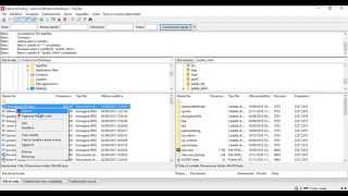 Guida configurare Filezilla [upl. by Brothers322]