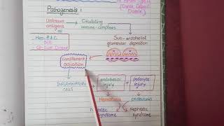 Membranous Nephropathy  Pathology [upl. by Nosila]