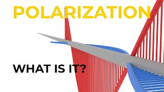 What is Polarization [upl. by Wiersma471]