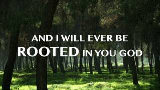 Kerrie Roberts Rooted Lyric Video [upl. by Ahtanoj]