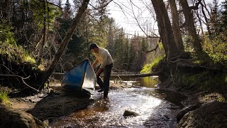 3 Days Solo Camping and Canoeing on Backcountry River  Moose and Calf Encounter [upl. by Puri20]