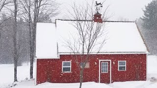 How to Keep Your Chickens Water from Freezing  No Electricity Needed [upl. by Akehsyt896]