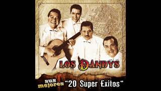 Los Dandys  Sus Mejores quot20 Super Exitosquot Disco Completo [upl. by Nyssa116]