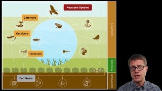 Ecosystem Ecology [upl. by Eeramit]