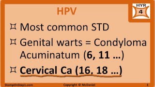 HPV Parvovirus B19 amp Adenovirus Cervical Cancer Fifths Disease Warts Slapped cheek Koilocyte [upl. by Higgins]