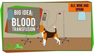 Big Idea Blood Transfusions [upl. by Giarla]