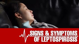 What are the Signs and Symptoms of Leptospirosis [upl. by Delsman]