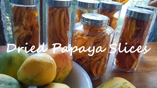 Dried Papayas from my Garden  Raw Vegan Snack [upl. by Lovmilla]