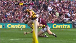 2015 All Ireland Hurling Final Kilkenny v Galway [upl. by Madora]