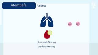 Die Atmung Normwerte und Abweichungen [upl. by Haletta193]