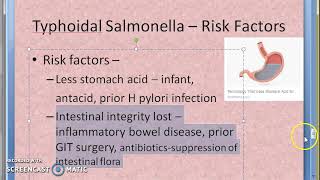 Microbiology 321 c Salmonella Typhoid Pathogenesis [upl. by Vernier]