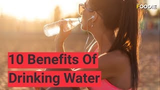 10 Benefits of Drinking Water  The Foodie [upl. by Hannazus]