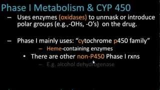 Phase I Metabolism  Pharmacology Lect 7 [upl. by Grenville]