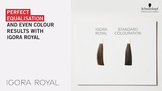 Perfect equalisation and even colour results with IGORA ROYAL [upl. by Suivatna]