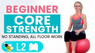 BEGINNER CORE  15 Minute STABILITY BALL Workout for BEGINNERS [upl. by Curkell]