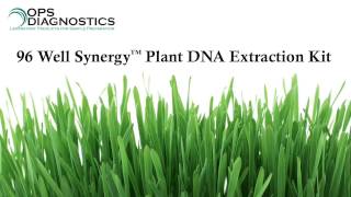 96 Well Synergy™ Plant DNA Extraction Kit [upl. by Enaitsirk]