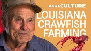 AgriCULTURE  Crawfish Farmers in South Louisiana [upl. by Ajdan]