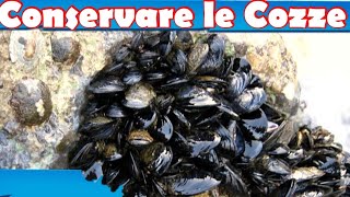 Come Conservare le COZZE [upl. by Laney]