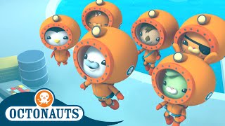 Octonauts  Team Ocean Research  Cartoons for Kids  Underwater Sea Education [upl. by Doralia]