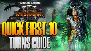 Miao Ying QUICK First 10 Turns Guide  Warhammer 3 VHVH [upl. by Kieryt]