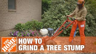 How To Grind A Tree Stump  The Home Depot [upl. by Onimod334]