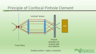 Confocal Microscopy Tutorial [upl. by Ttirb424]