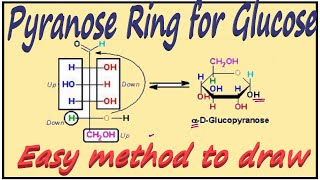 Cyclic Structure of Glucose  Pyranose Ring for Glucose  Carbohydrates [upl. by Merv]